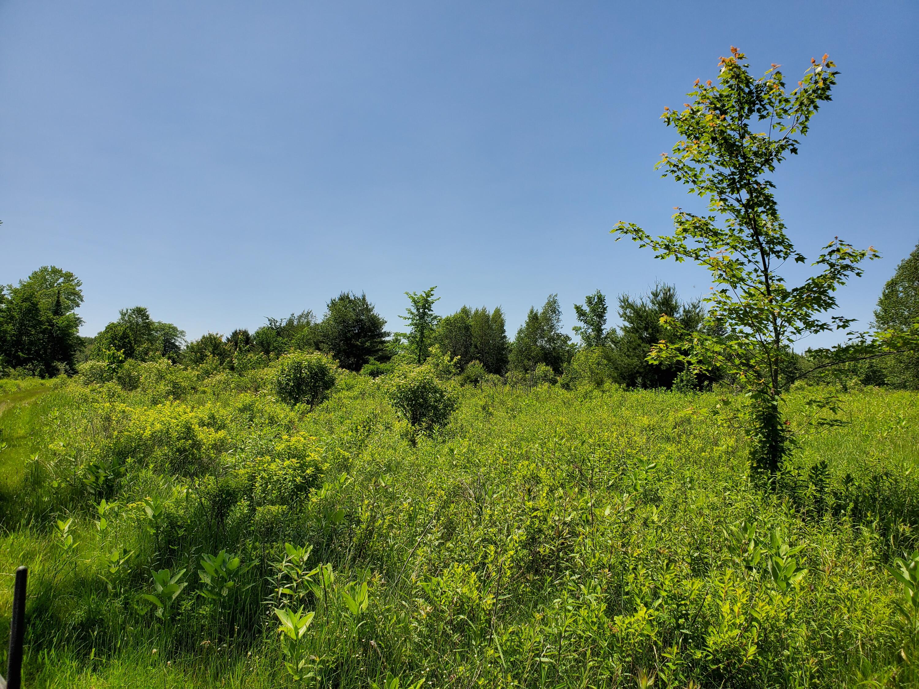 Lot 12-7 Emery Farm Road Medford, ME 04463 - Photo 9 of 13 20230622_141840