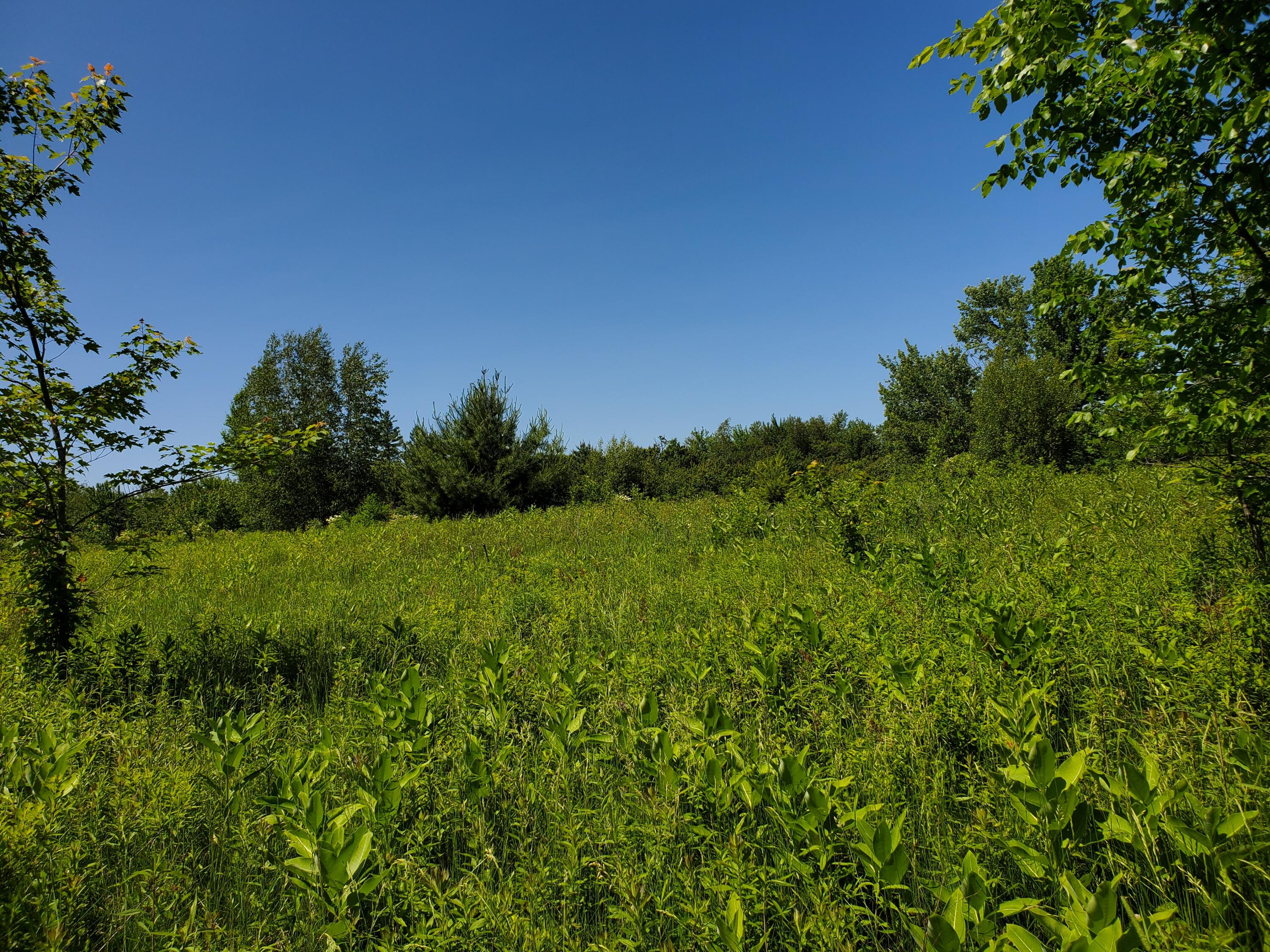 Lot 12-7 Emery Farm Road Medford, ME 04463 - Photo 10 of 13 20230622_141843