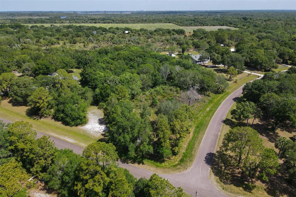 1729 Shenandoah Road Wimauma, FL 33598 - Photo 2 of 22