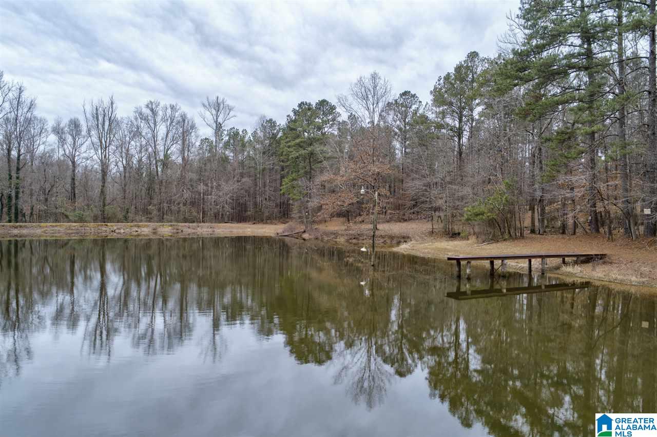 5125 Forestwood Road Adamsville, AL 35005 - Photo 21 of 42
