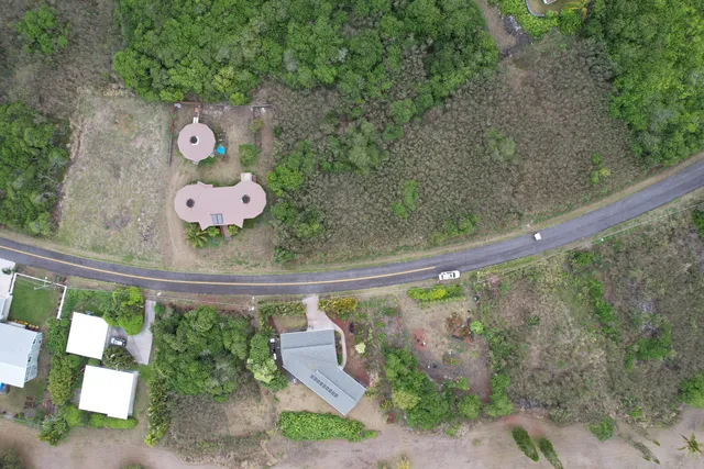 a wooden floor with some trees in the background