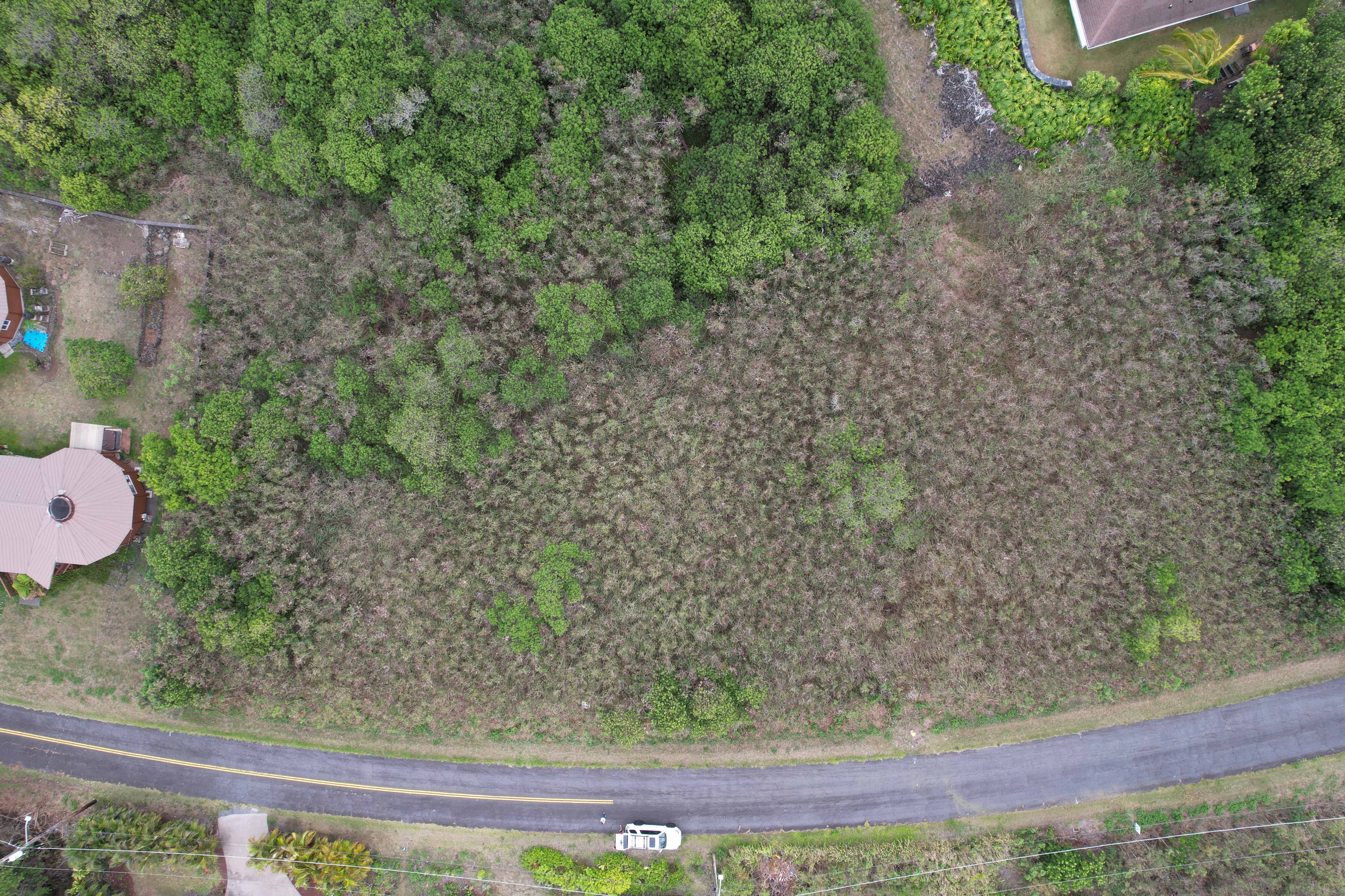 115 Kaulua Circle Naalehu, HI 96772 - Photo 3 of 9 a wooden floor with some trees in the background