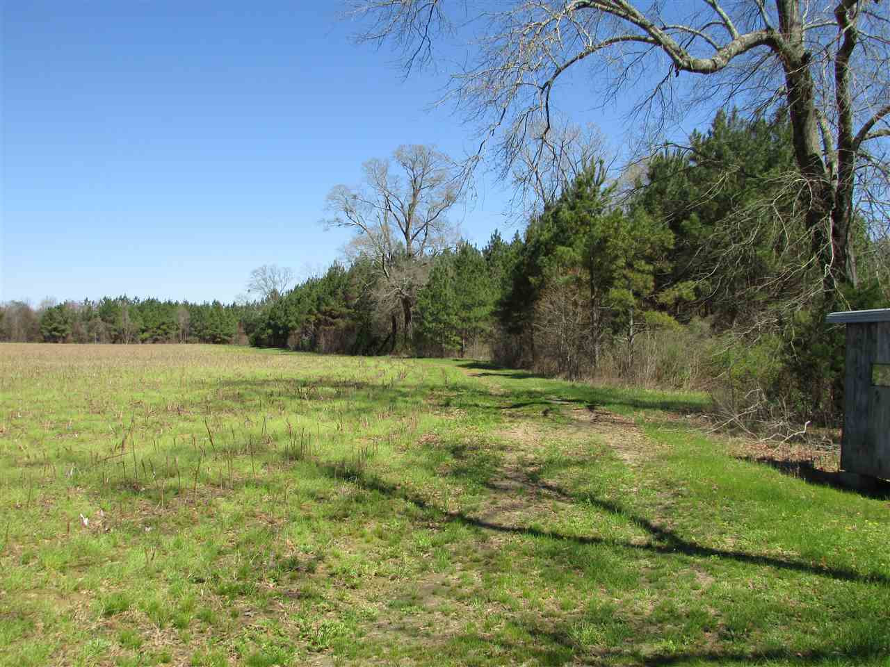2088 North Old Canton Road Canton, MS 39046 - Photo 12 of 50 Photo 12