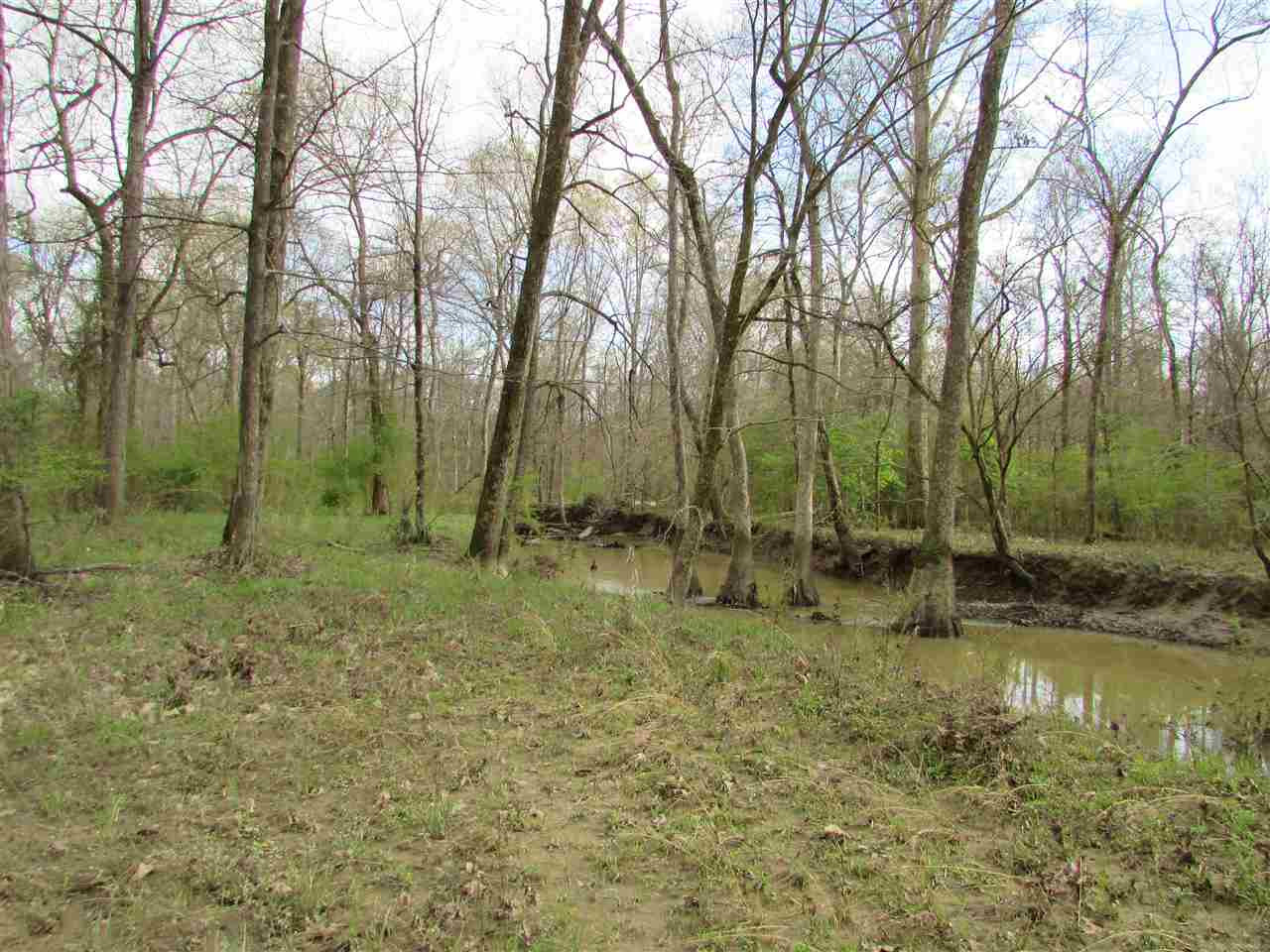 2088 North Old Canton Road Canton, MS 39046 - Photo 13 of 50 Photo 13