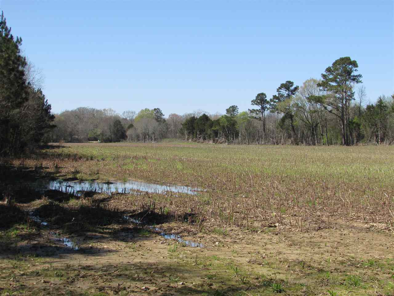 2088 North Old Canton Road Canton, MS 39046 - Photo 14 of 50 Photo 14