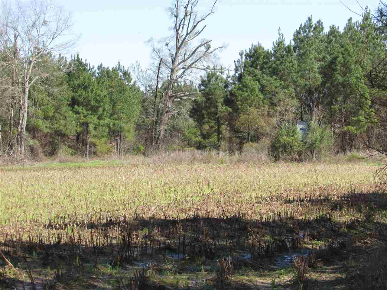 2088 North Old Canton Road Canton, MS 39046 - Photo 15 of 50 Photo 15