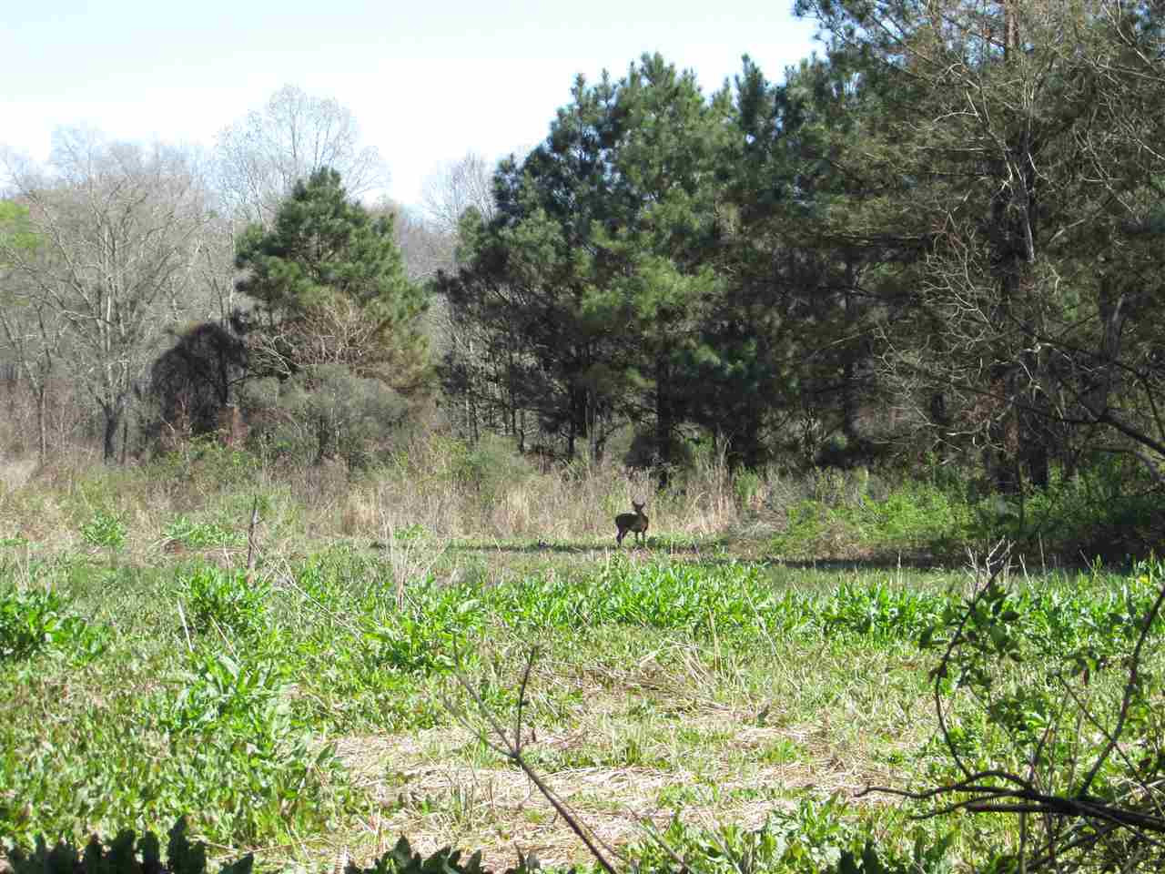 2088 North Old Canton Road Canton, MS 39046 - Photo 16 of 50 Photo 16