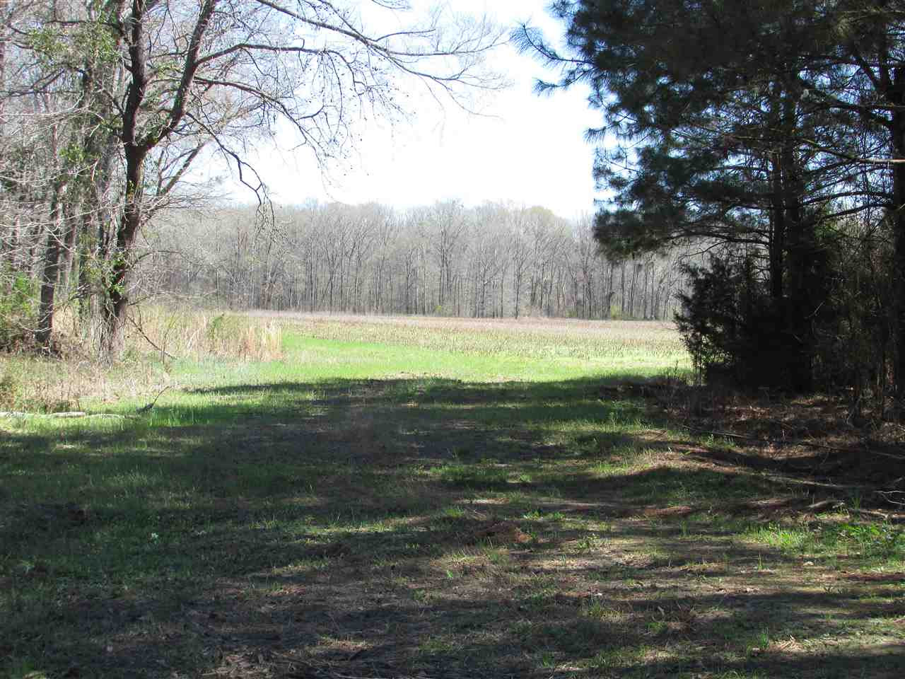 2088 North Old Canton Road Canton, MS 39046 - Photo 17 of 50 Photo 17