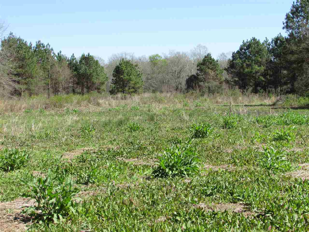 2088 North Old Canton Road Canton, MS 39046 - Photo 18 of 50 Photo 18