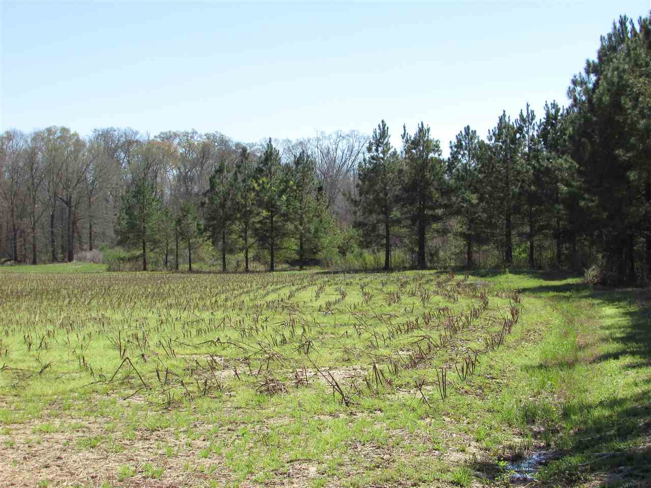 2088 North Old Canton Road Canton, MS 39046 - Photo 19 of 50 Photo 19