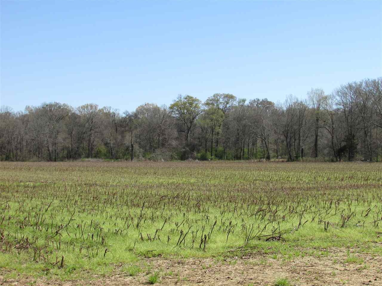 2088 North Old Canton Road Canton, MS 39046 - Photo 20 of 50 Photo 20