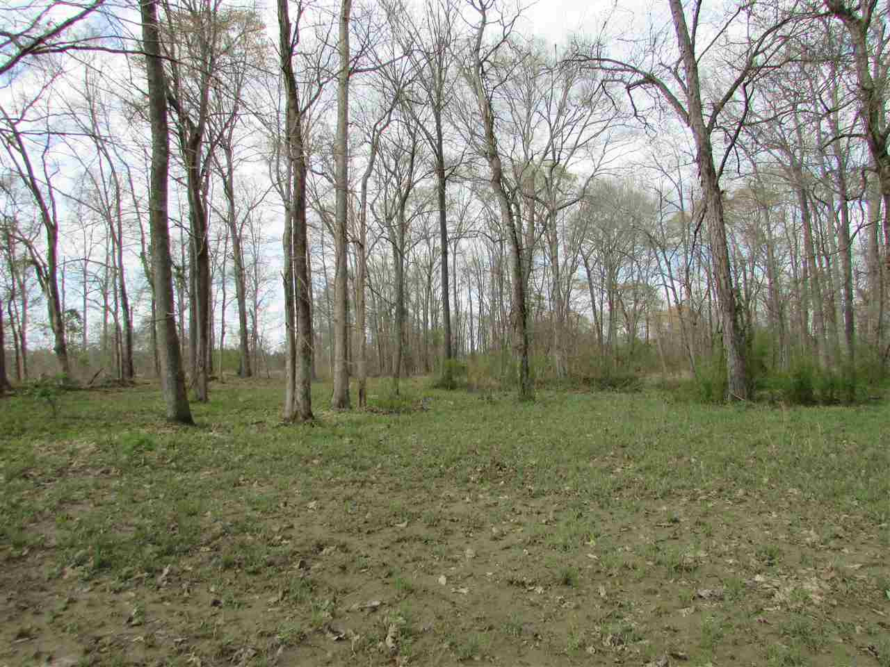 2088 North Old Canton Road Canton, MS 39046 - Photo 2 of 50 Photo 2