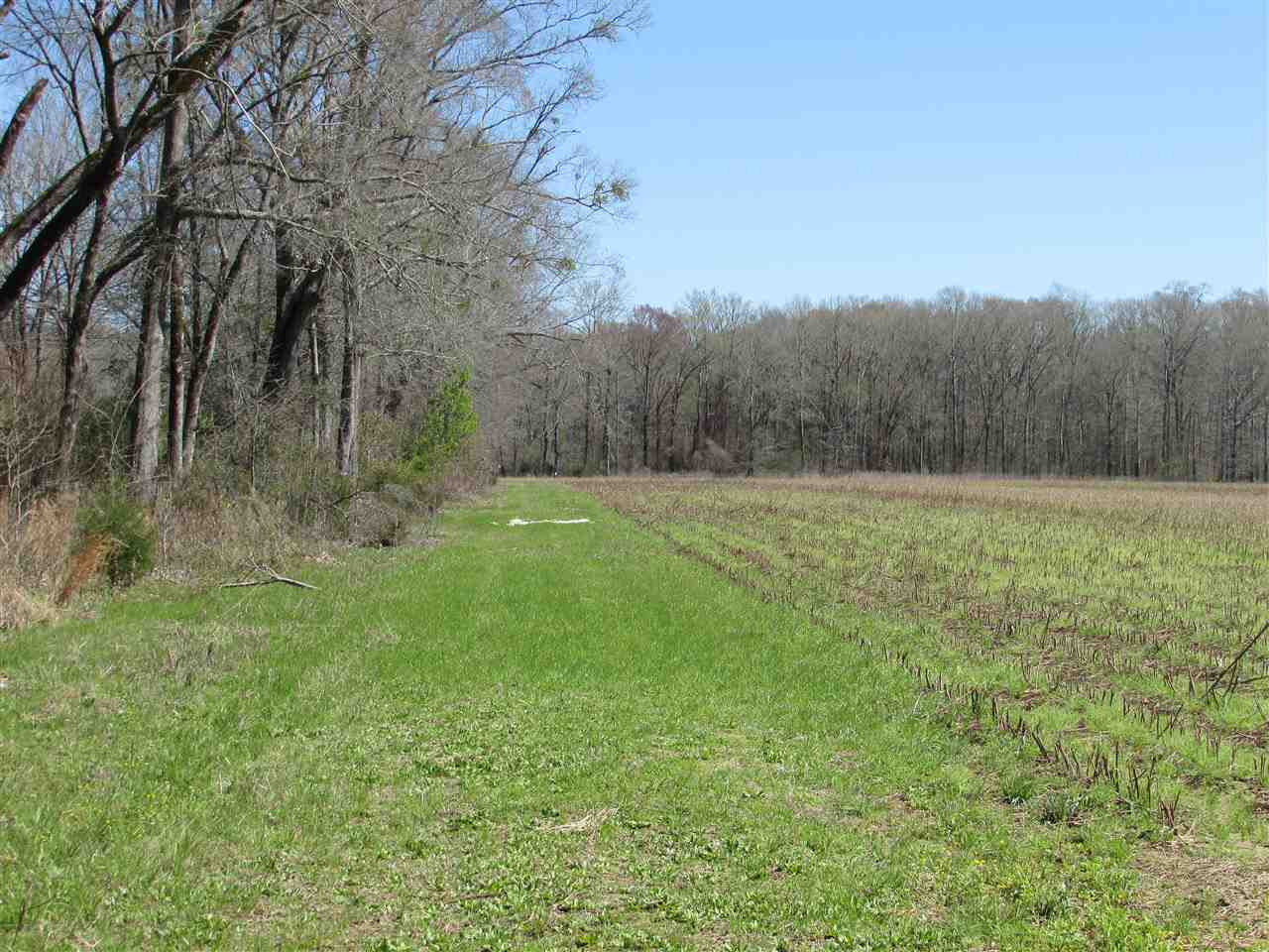 2088 North Old Canton Road Canton, MS 39046 - Photo 21 of 50 Photo 21