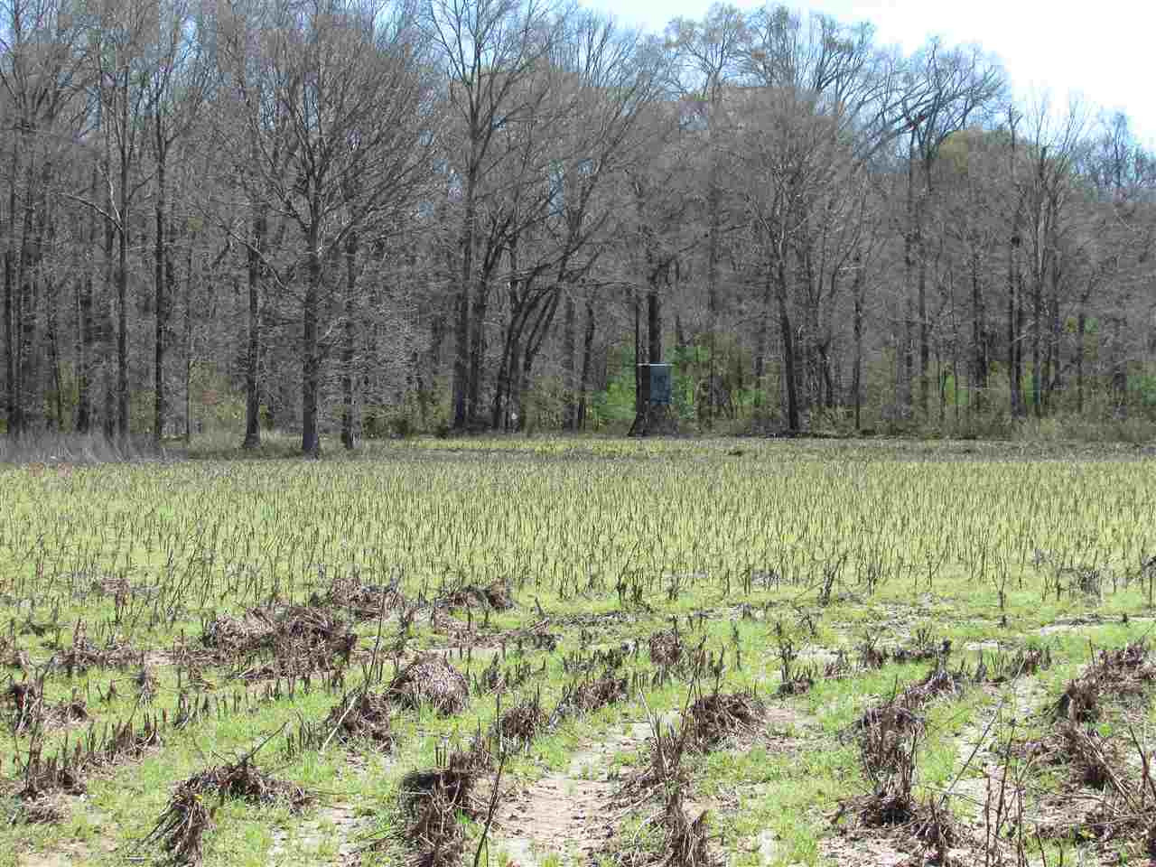 2088 North Old Canton Road Canton, MS 39046 - Photo 22 of 50 Photo 22