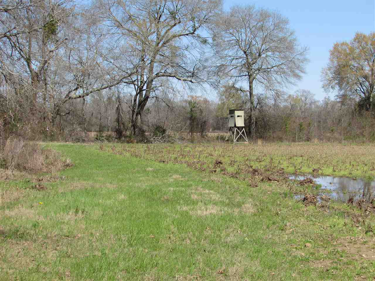 2088 North Old Canton Road Canton, MS 39046 - Photo 23 of 50 Photo 23