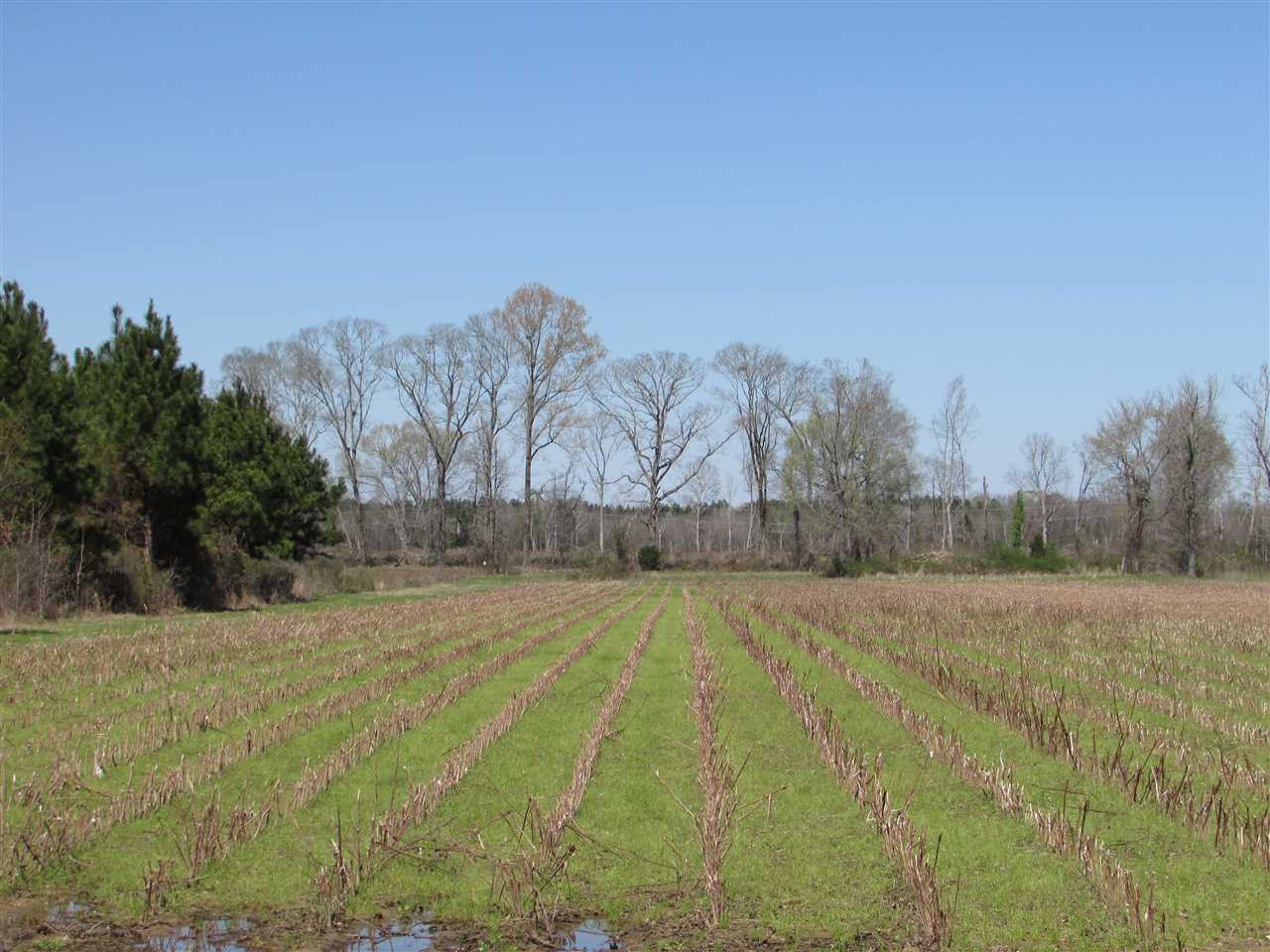2088 North Old Canton Road Canton, MS 39046 - Photo 24 of 50 Photo 24
