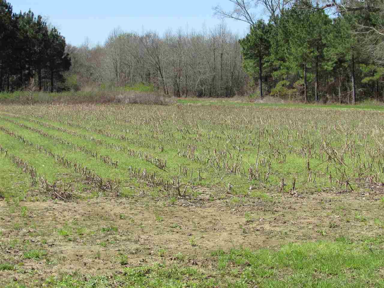 2088 North Old Canton Road Canton, MS 39046 - Photo 25 of 50 Photo 25