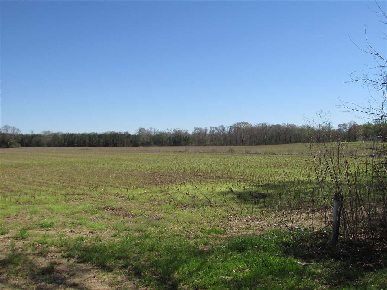 2088 North Old Canton Road Canton, MS 39046 - Photo 26 of 50 Photo 26