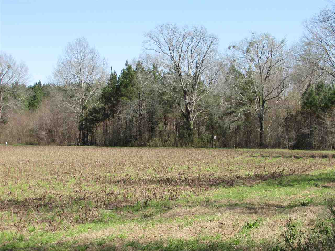 2088 North Old Canton Road Canton, MS 39046 - Photo 27 of 50 Photo 27