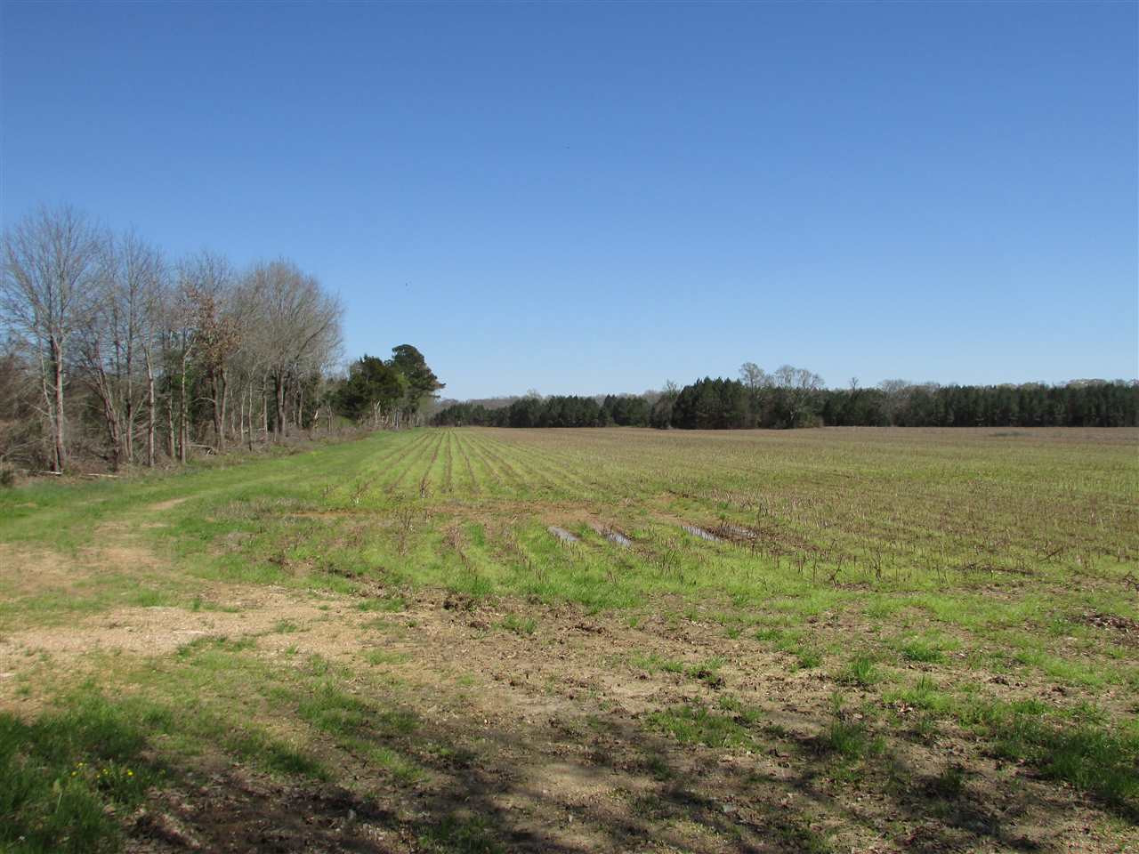 2088 North Old Canton Road Canton, MS 39046 - Photo 29 of 50 Photo 29