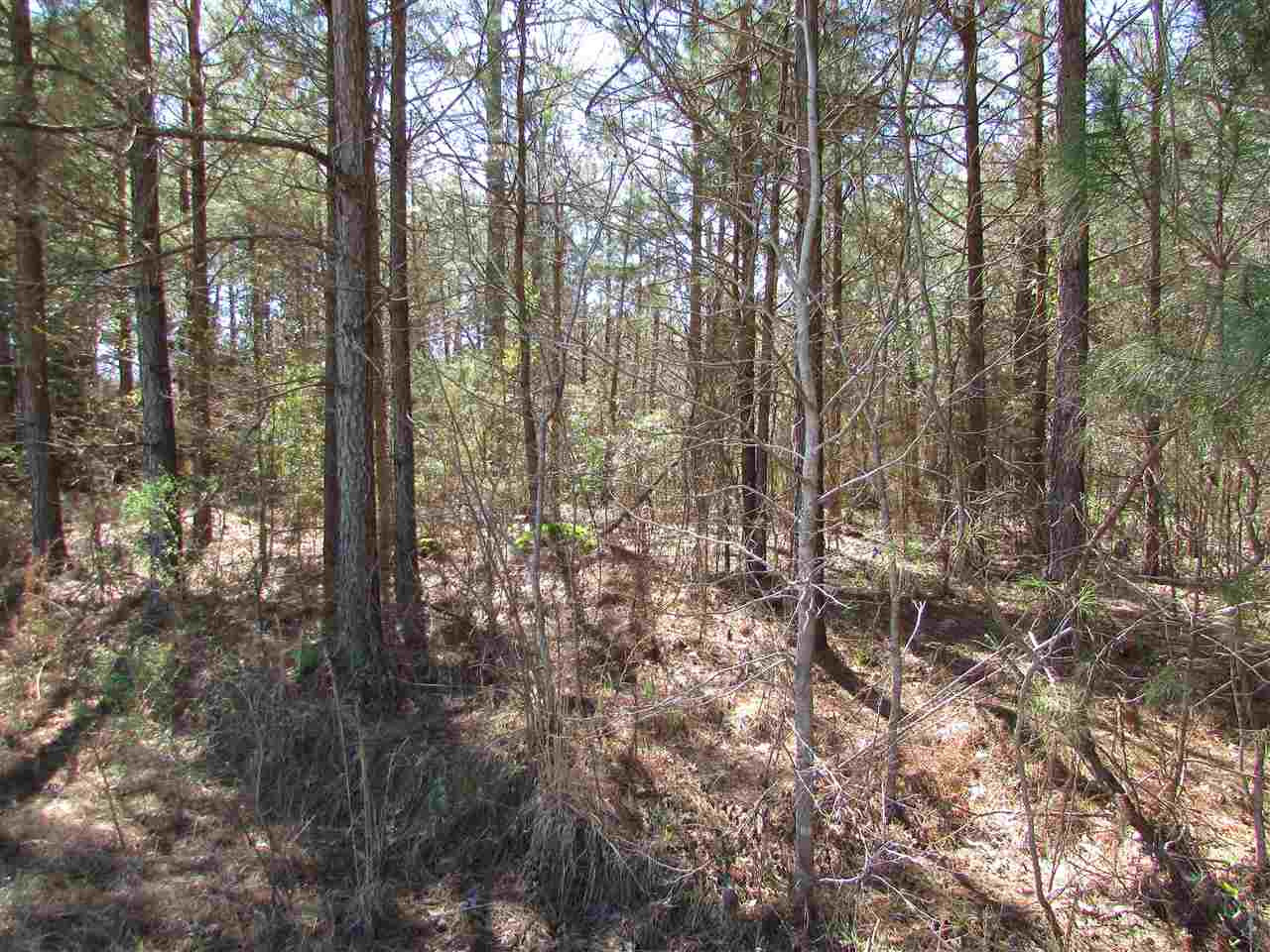 2088 North Old Canton Road Canton, MS 39046 - Photo 30 of 50 Photo 30