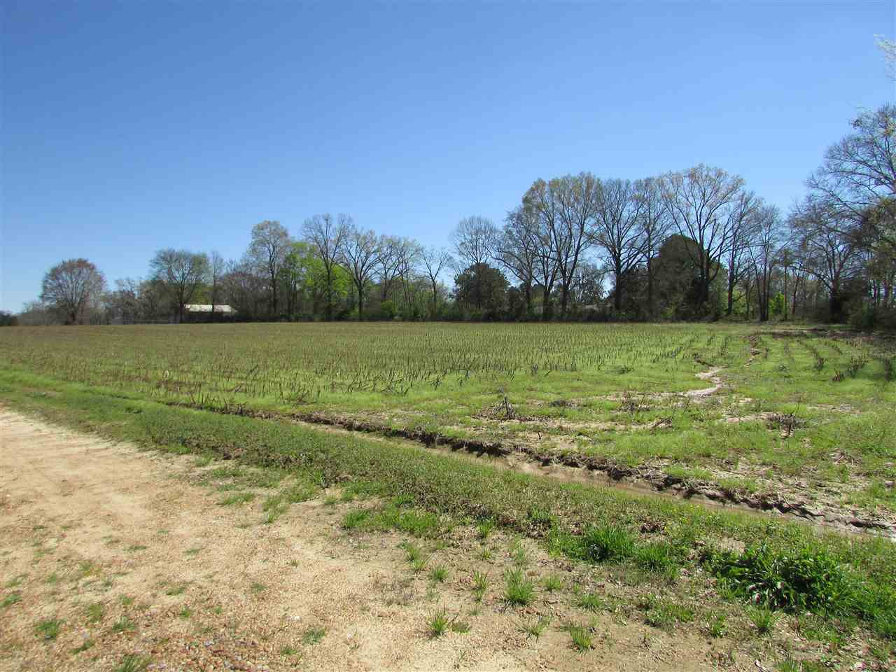 2088 North Old Canton Road Canton, MS 39046 - Photo 3 of 50 Photo 3
