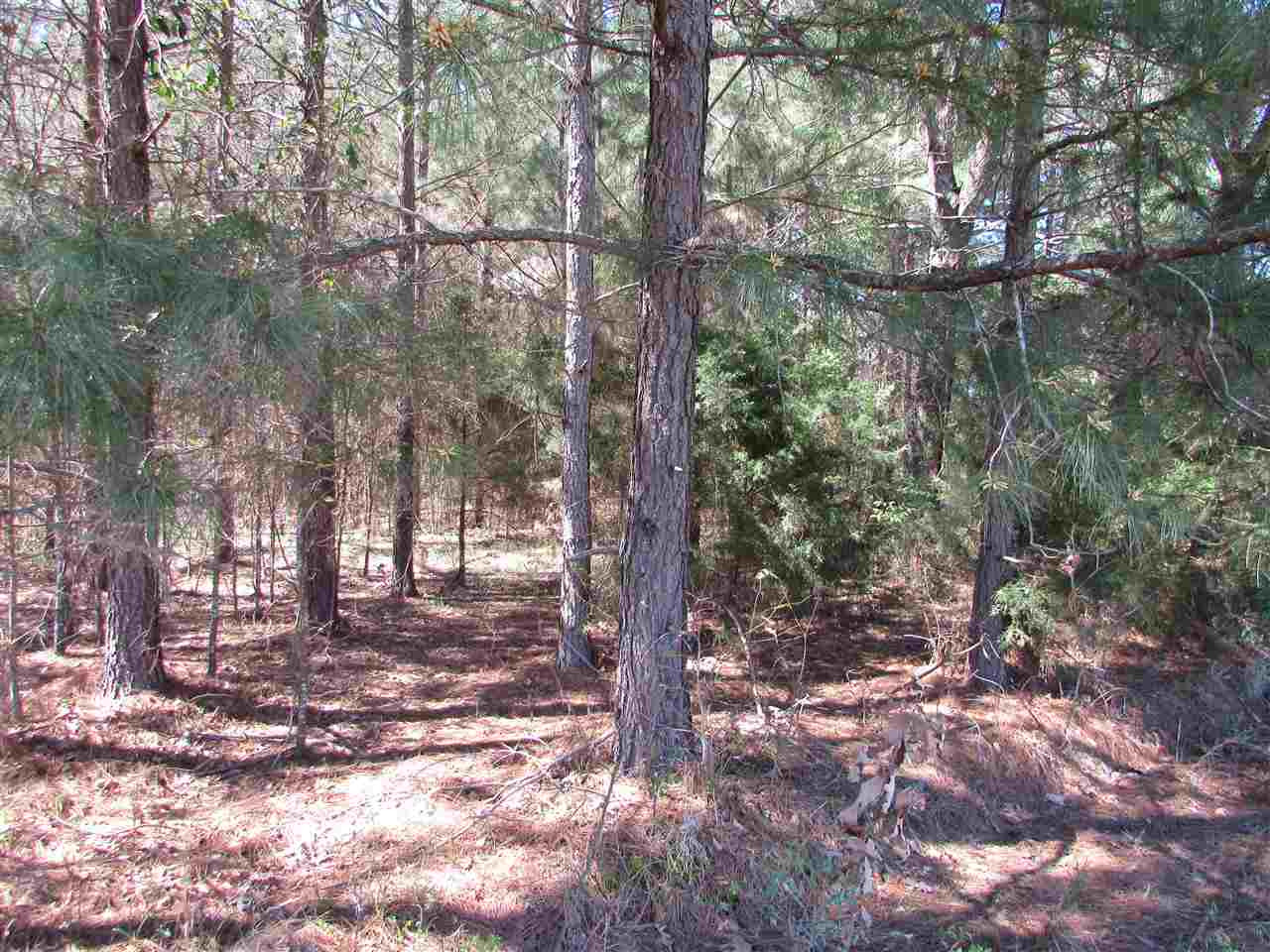 2088 North Old Canton Road Canton, MS 39046 - Photo 31 of 50 Photo 31