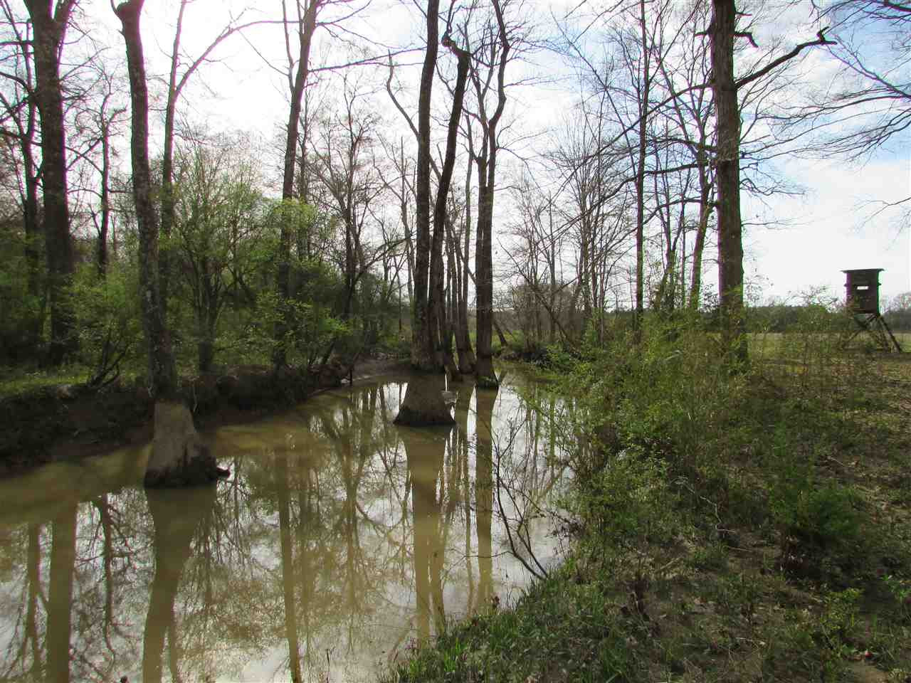 2088 North Old Canton Road Canton, MS 39046 - Photo 34 of 50 Photo 34