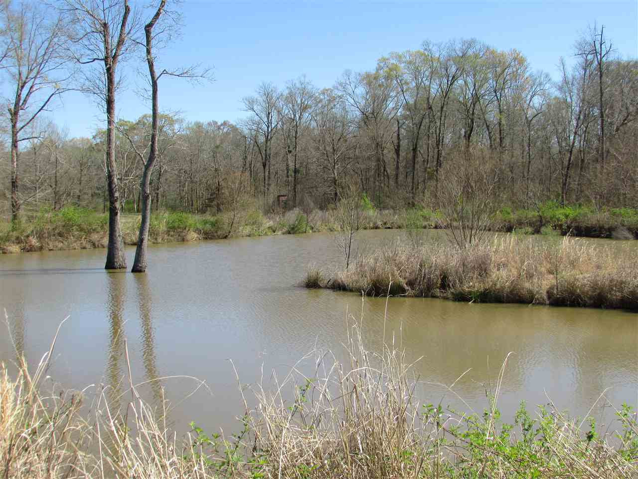 2088 North Old Canton Road Canton, MS 39046 - Photo 35 of 50 Photo 35