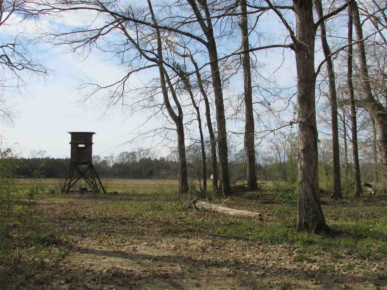 2088 North Old Canton Road Canton, MS 39046 - Photo 37 of 50 Photo 37