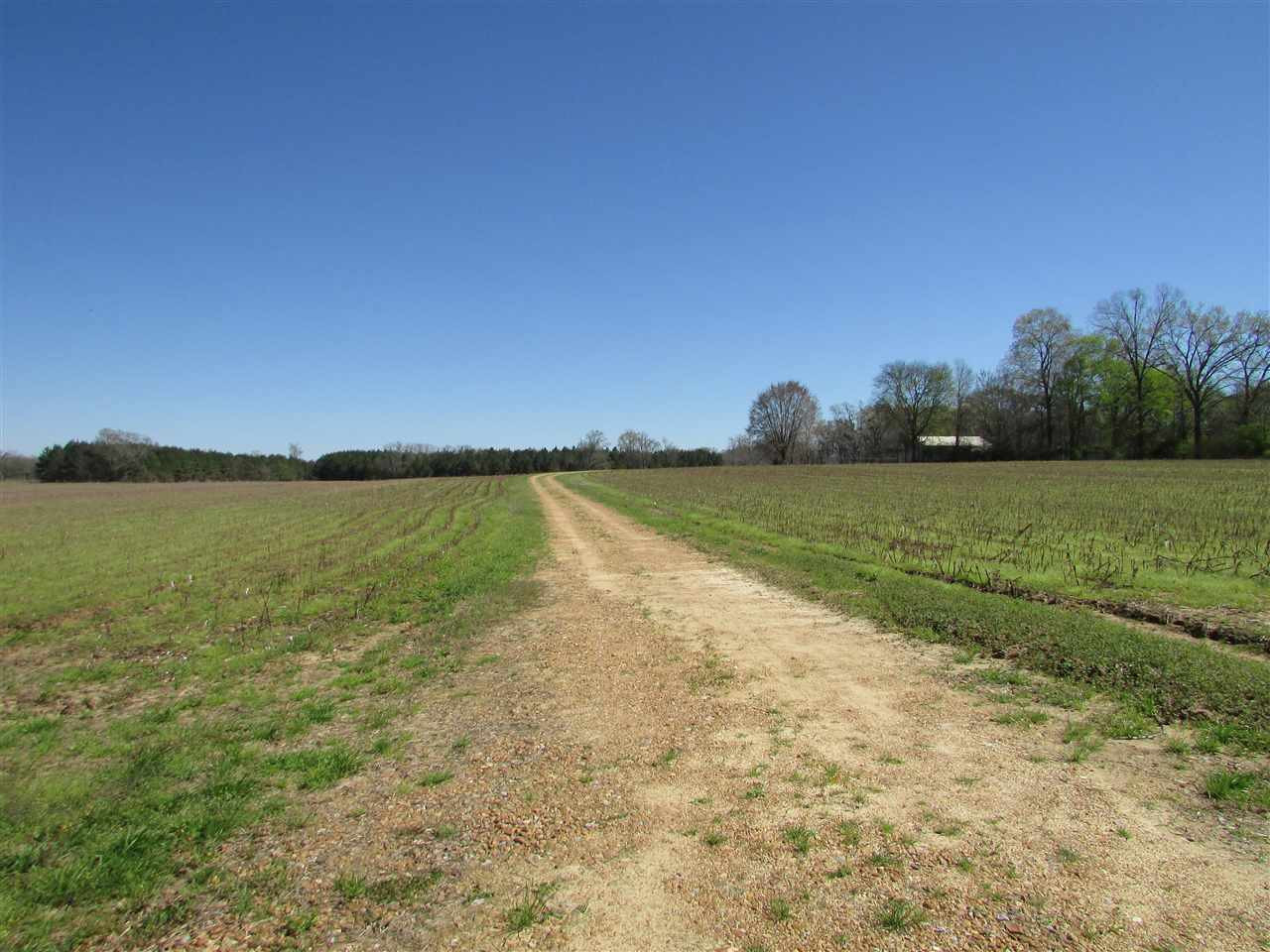 2088 North Old Canton Road Canton, MS 39046 - Photo 4 of 50 Photo 4