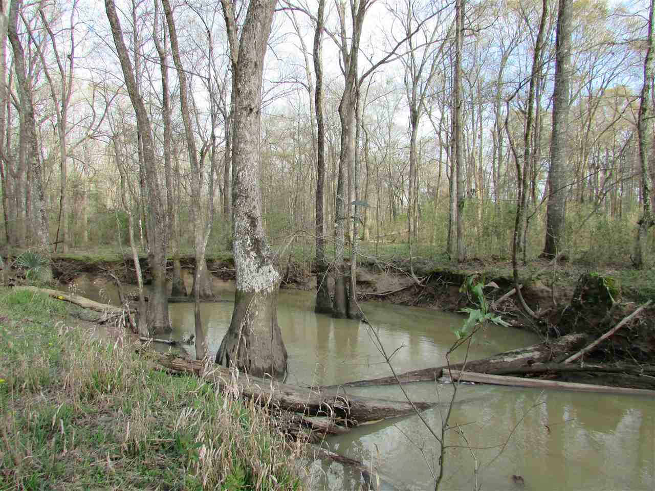 2088 North Old Canton Road Canton, MS 39046 - Photo 45 of 50 Photo 45