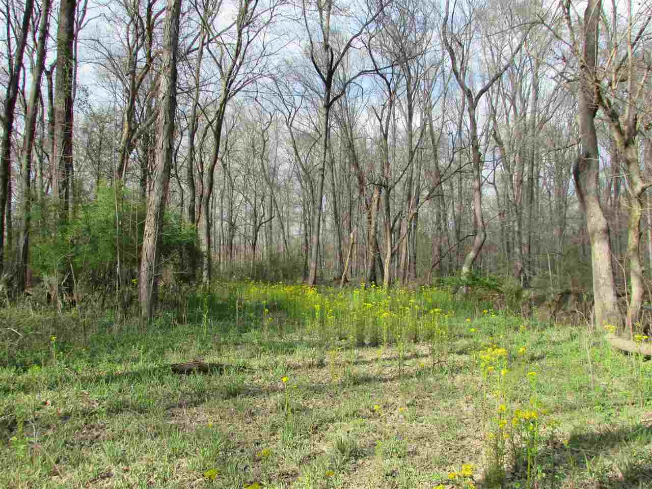 2088 North Old Canton Road Canton, MS 39046 - Photo 46 of 50 Photo 46