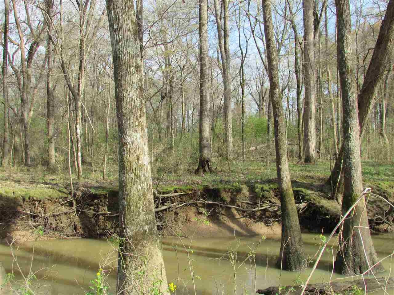 2088 North Old Canton Road Canton, MS 39046 - Photo 47 of 50 Photo 47