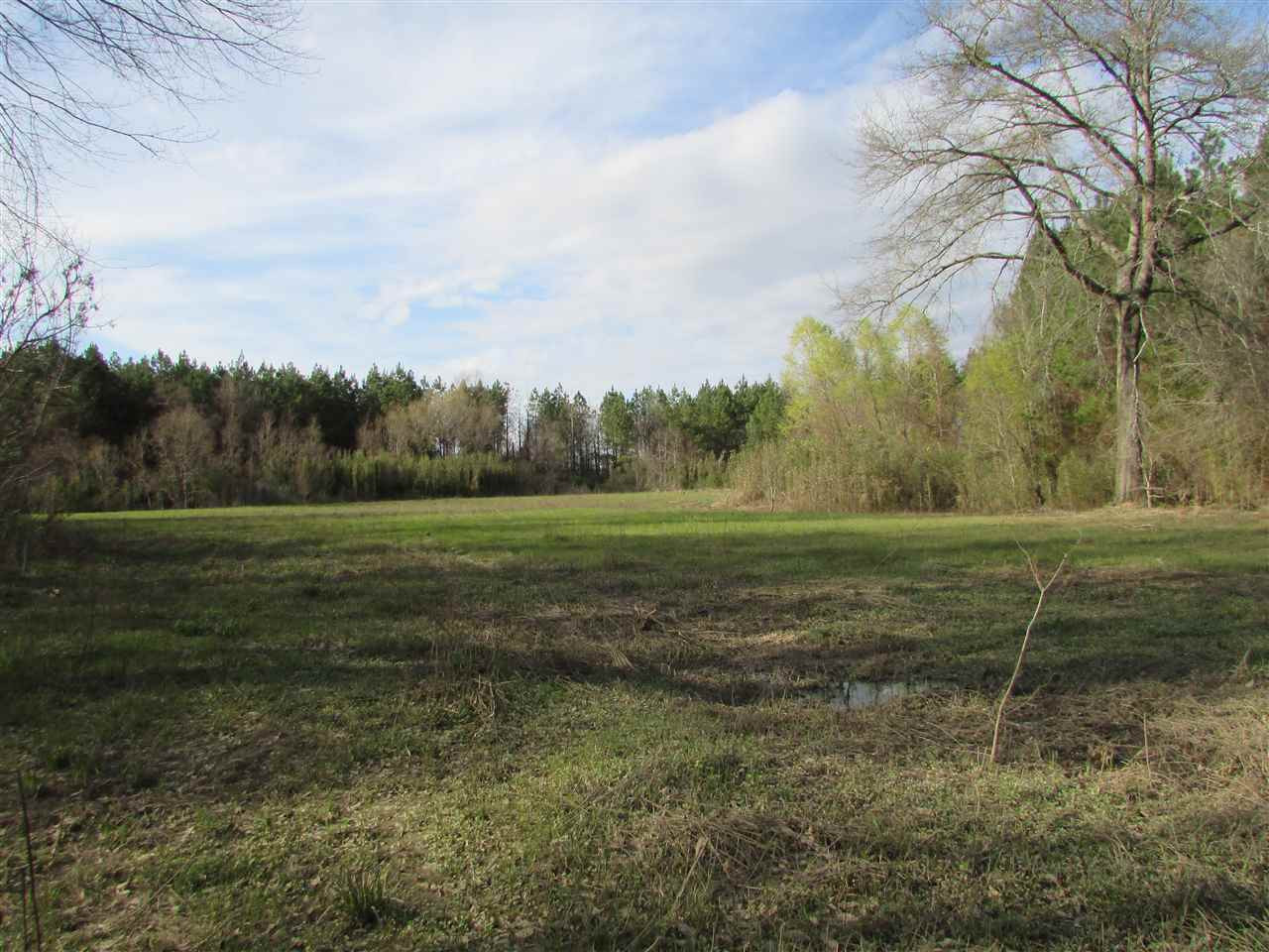 2088 North Old Canton Road Canton, MS 39046 - Photo 48 of 50 Photo 48