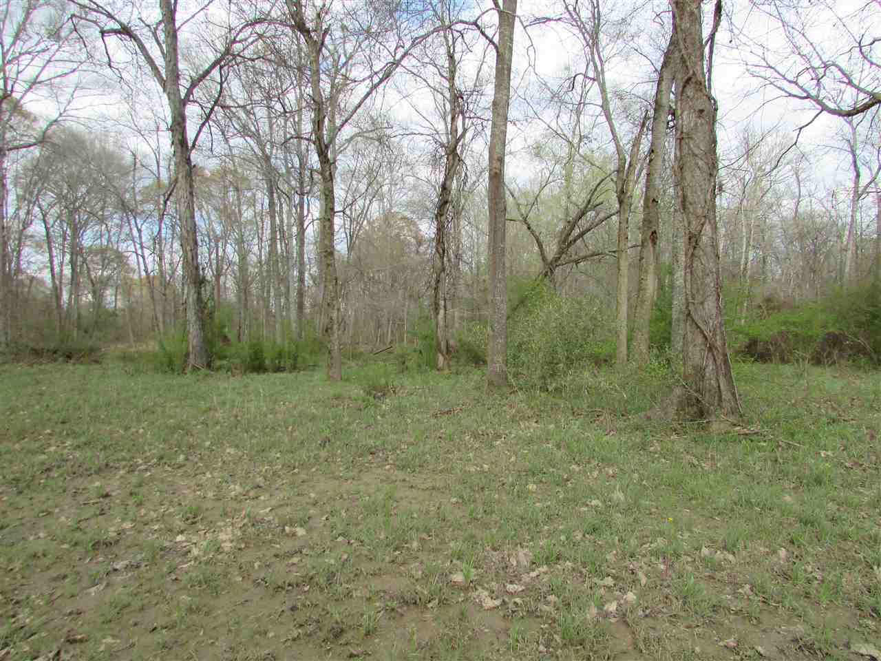 2088 North Old Canton Road Canton, MS 39046 - Photo 5 of 50 Photo 5