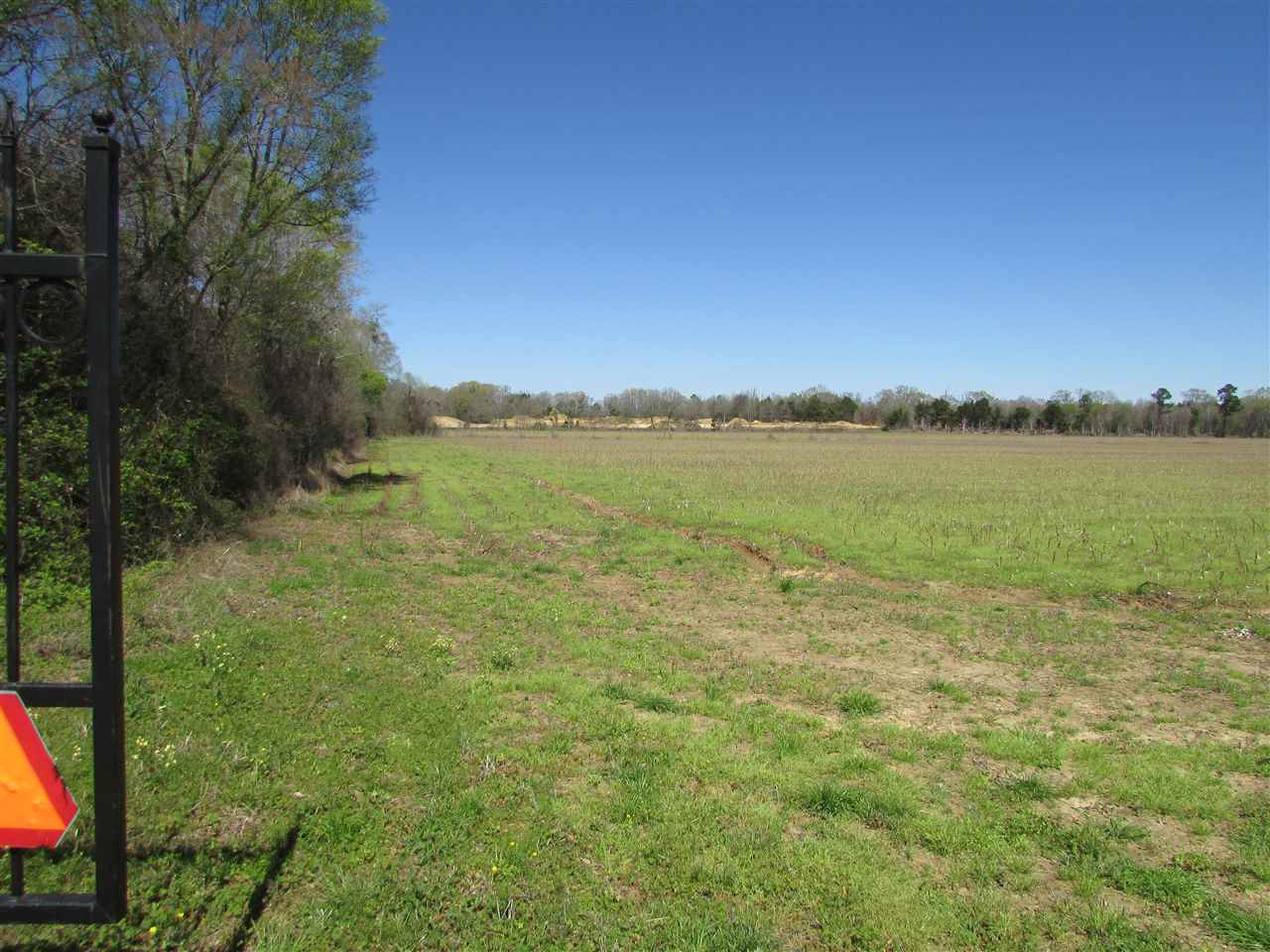 2088 North Old Canton Road Canton, MS 39046 - Photo 6 of 50 Photo 6