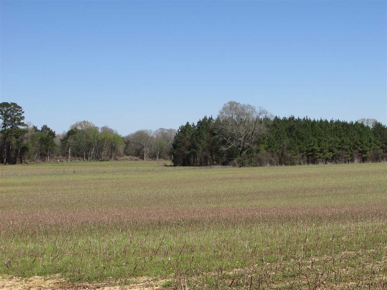 2088 North Old Canton Road Canton, MS 39046 - Photo 7 of 50 Photo 7