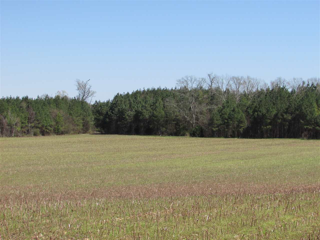2088 North Old Canton Road Canton, MS 39046 - Photo 8 of 50 Photo 8