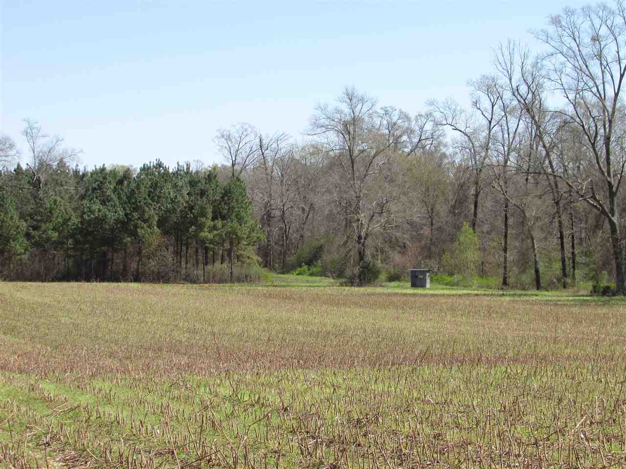 2088 North Old Canton Road Canton, MS 39046 - Photo 9 of 50 Photo 9