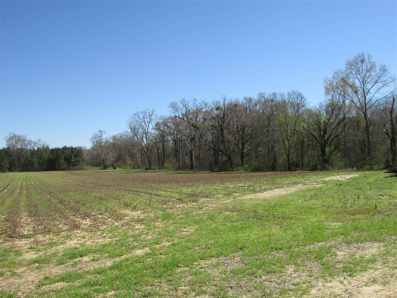 2088 North Old Canton Road Canton, MS 39046 - Photo 10 of 50 Photo 10