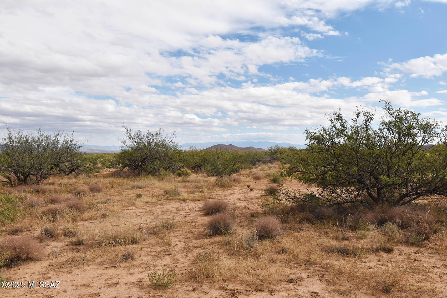 4-lots 4-lots Unnamed Road, Unit 456 Pearce, AZ 85625 - Photo 9 of 20