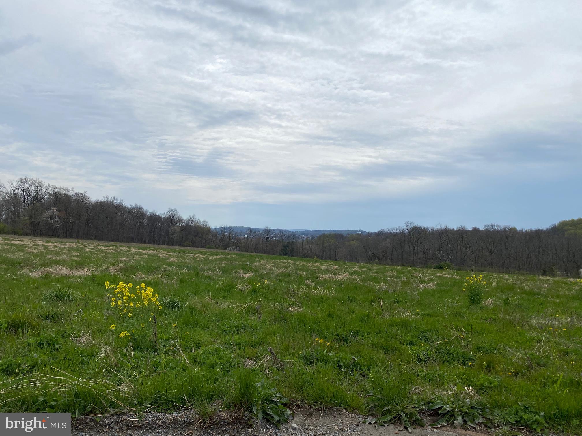 Lot 2 County Line Road Bechtelsville, PA 19505 - Photo 1 of 18 Gallery Image 1
