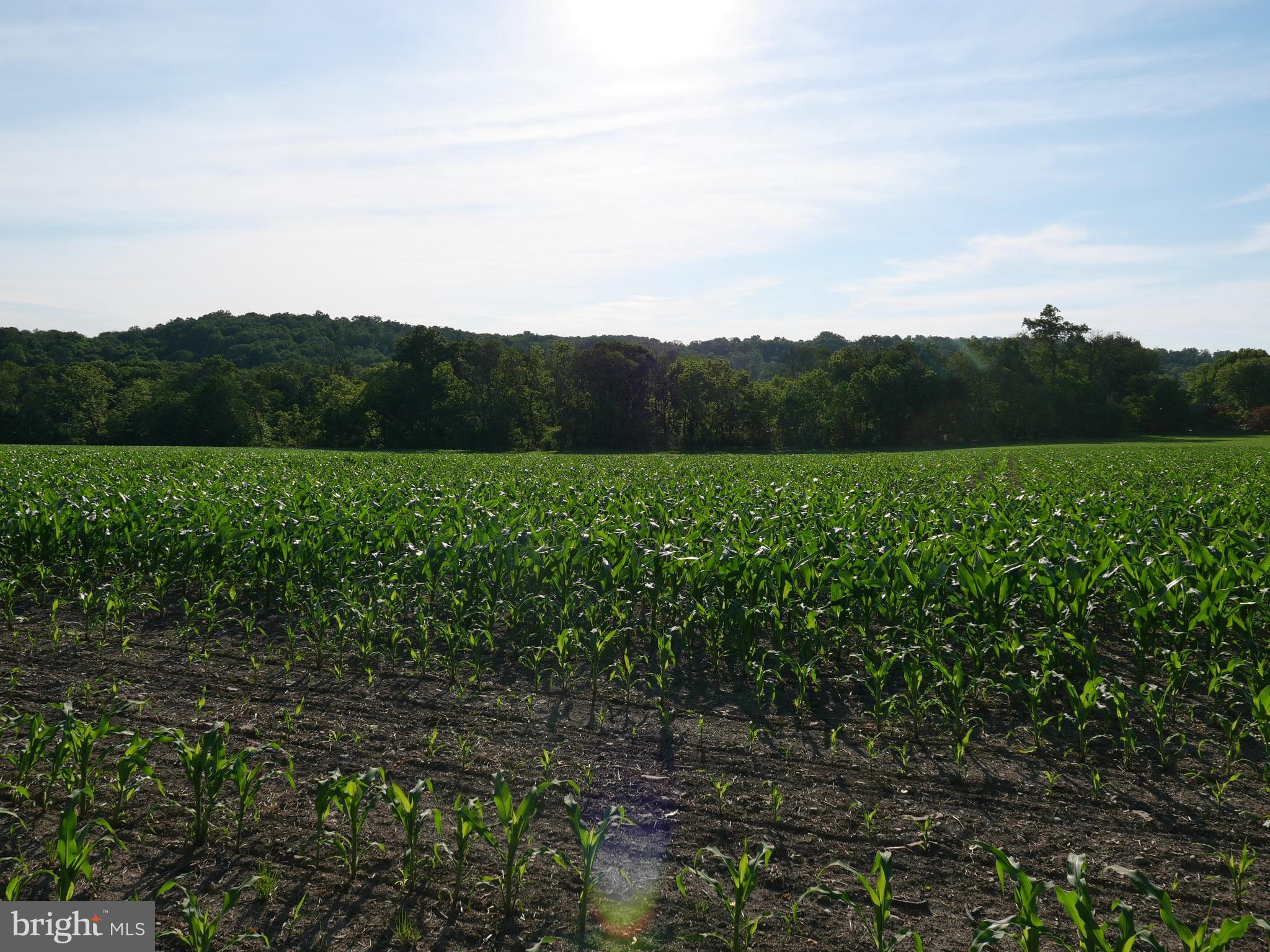 Lot 2 County Line Road Bechtelsville, PA 19505 - Photo 11 of 18 Gallery Image 11