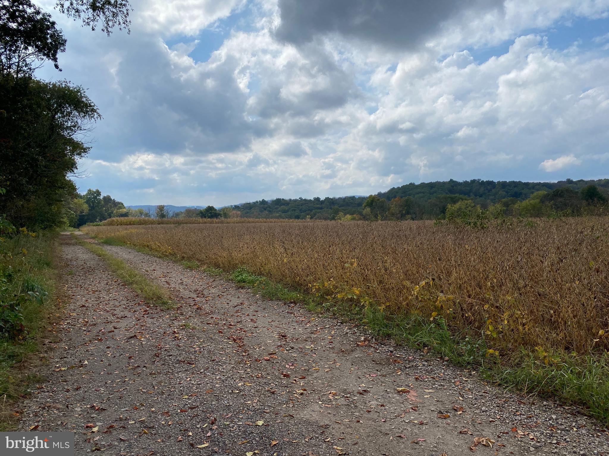 Lot 2 County Line Road Bechtelsville, PA 19505 - Photo 6 of 18 Gallery Image 6