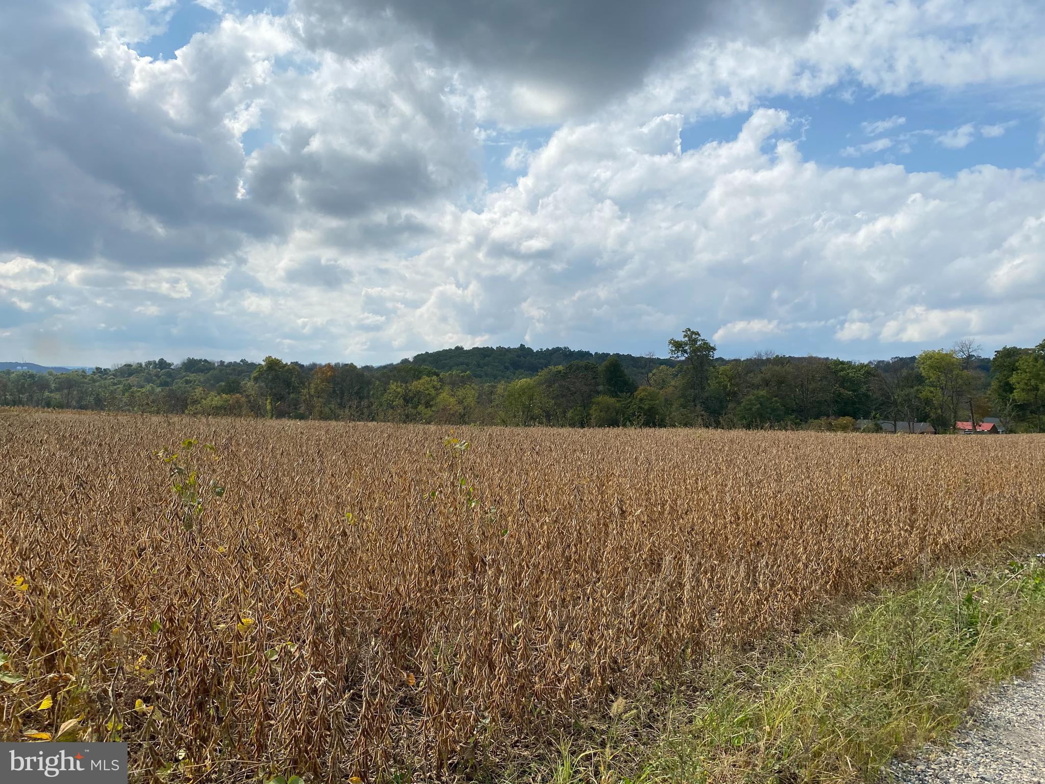 Lot 2 County Line Road Bechtelsville, PA 19505 - Photo 7 of 18 Gallery Image 7