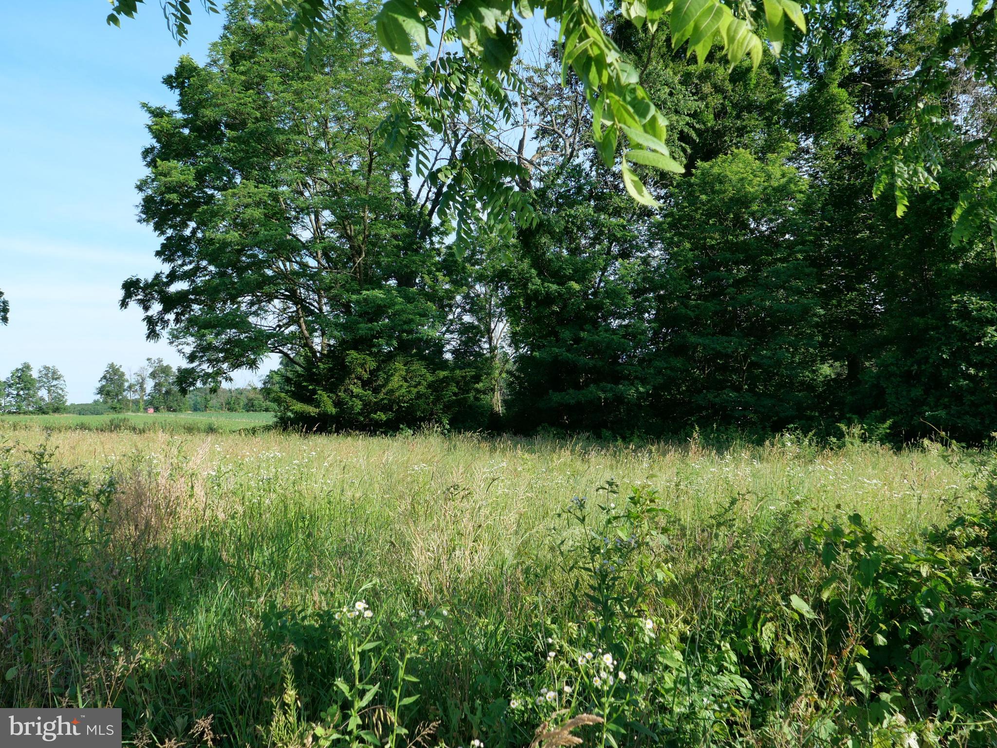 Lot 2 County Line Road Bechtelsville, PA 19505 - Photo 10 of 18 Gallery Image 10