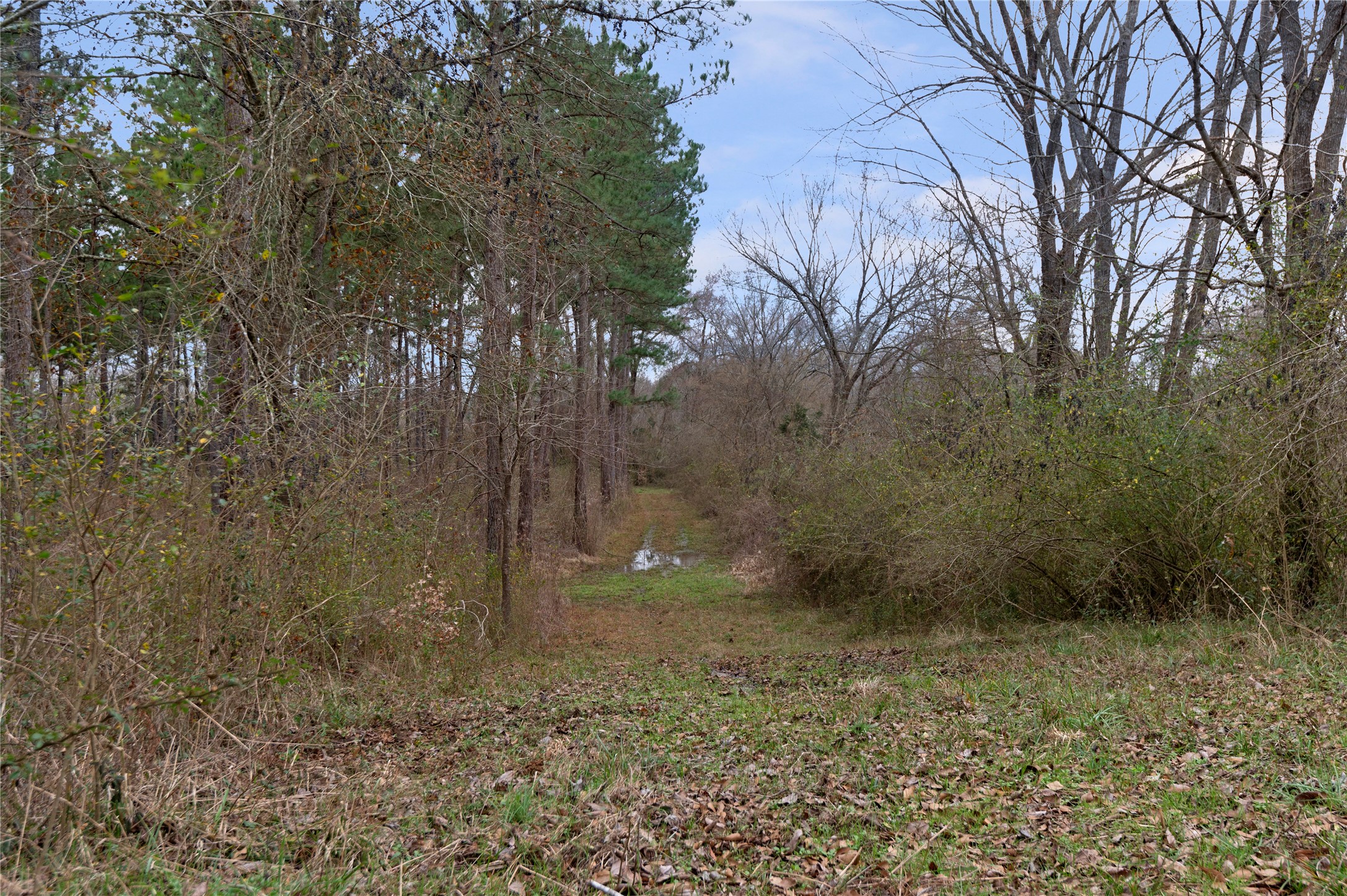 5397 Highway 21 Nacogdoches, TX 75964 - Photo 10 of 39