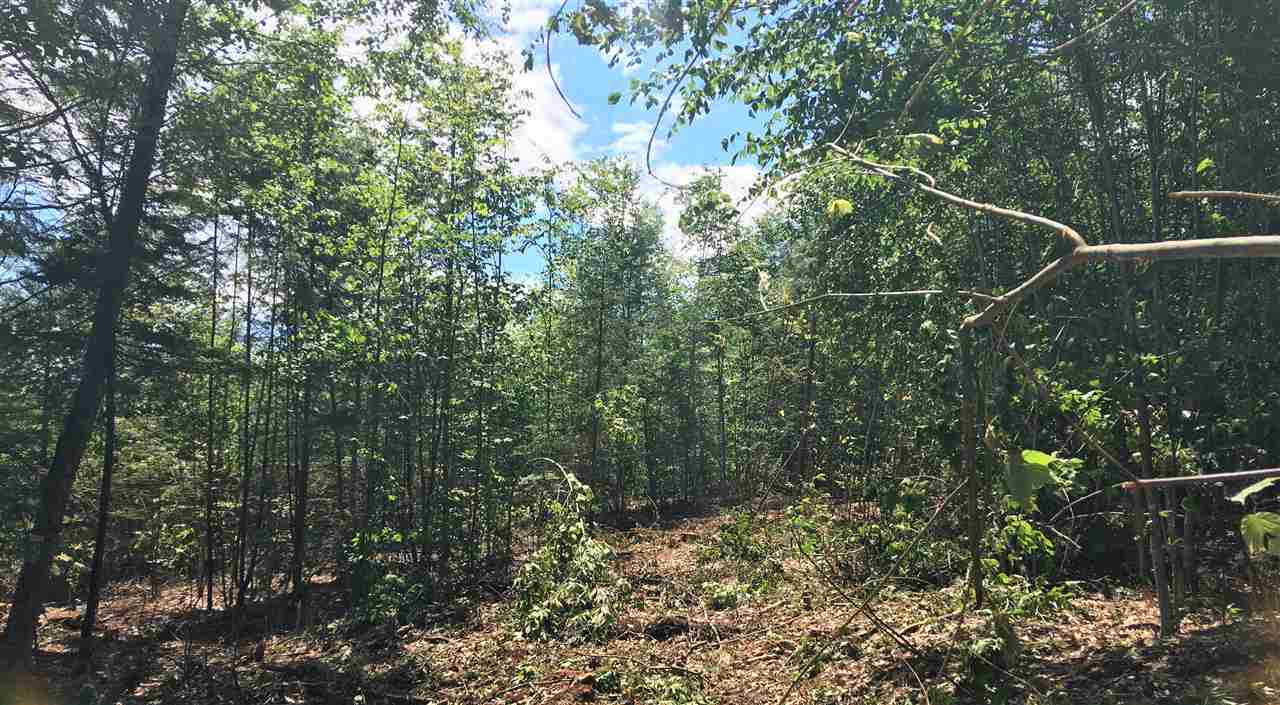 Hill Road, Unit 13 & 14 Center Conway, NH 03813 - Photo 5 of 10 Gallery Image 5