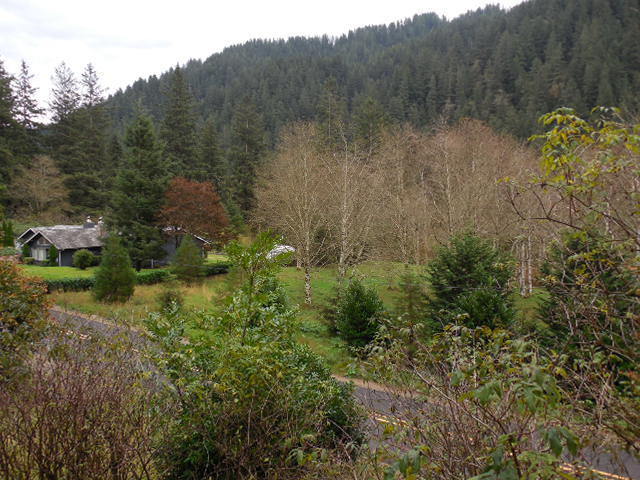 9550 Kilchis River Road Tillamook, OR 97141 - Photo 33 of 34 View from deck
